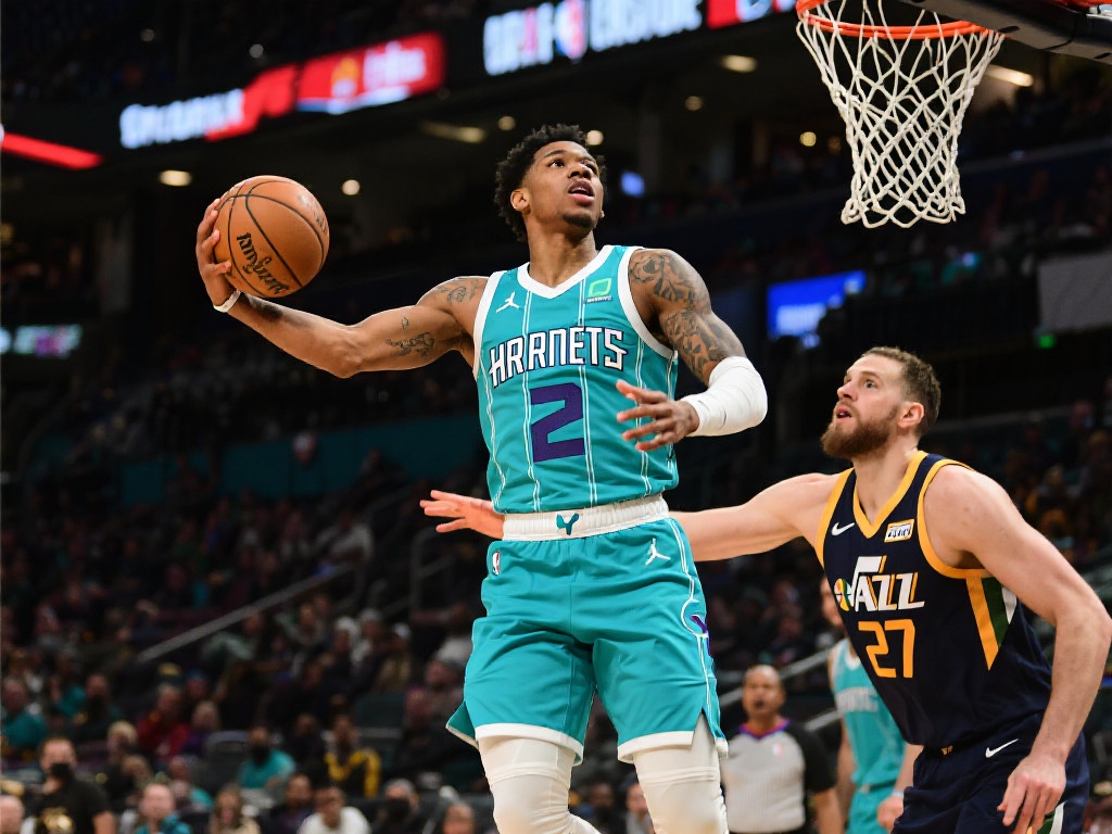 多人的关注 多人的关注