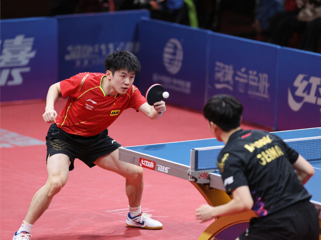 许多玩家都 许多玩家都