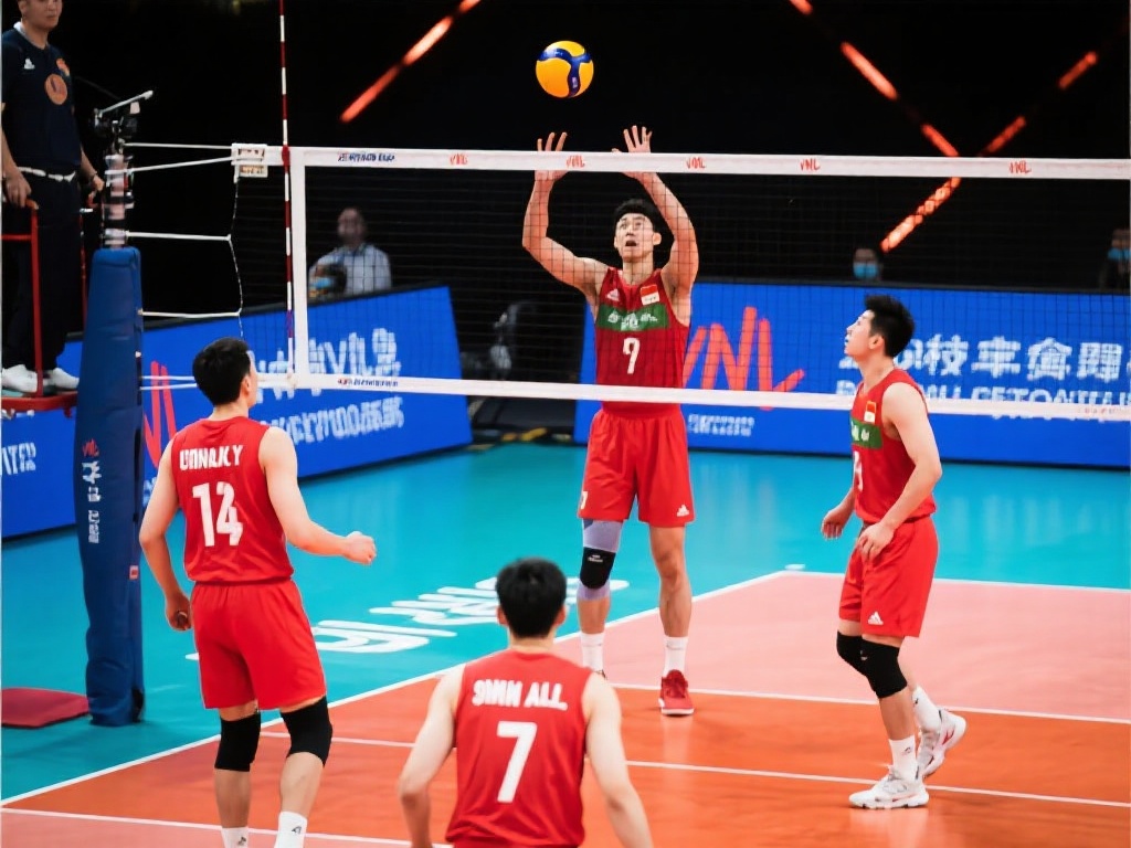 为用户提供 为用户提供